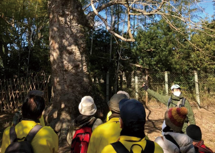 春日山原始林コース フィールドワーク研修