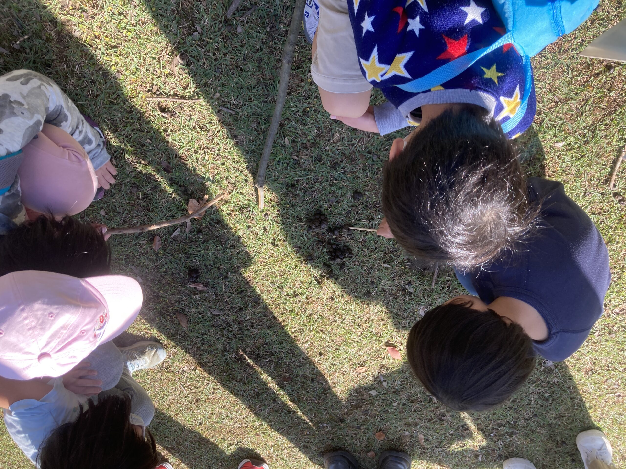 遊ぼう！学ぼう！奈良公園SDGs自然学校「シカと糞虫と自然の循環」