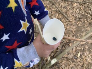 遊ぼう！学ぼう！奈良公園SDGs自然学校「シカと糞虫と自然の循環」