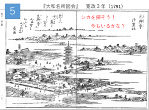 遊ぼう!学ぼう! 奈良公園SDGs自然学校の第2回、 「シカと暮らすまちの歴史」