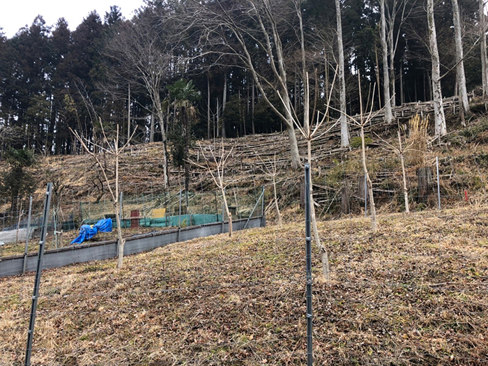 「地域のSDGsのタネを見つけるフィールドワーク　曾爾村編」を行いました。