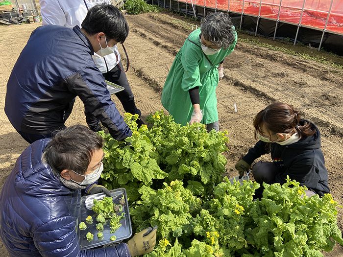 「地域のSDGsのタネを見つけるフィールドワーク　曾爾村編」を行いました。